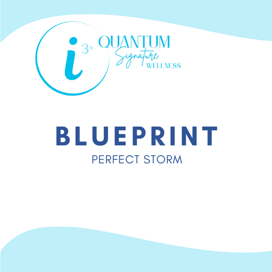 i3+ BLUEPRINT Bootcamp — The Perfect Storm